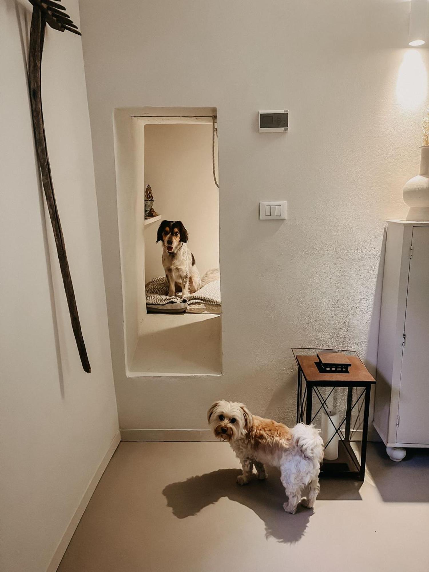 M.Sommer House Pistoia Kültér fotó
