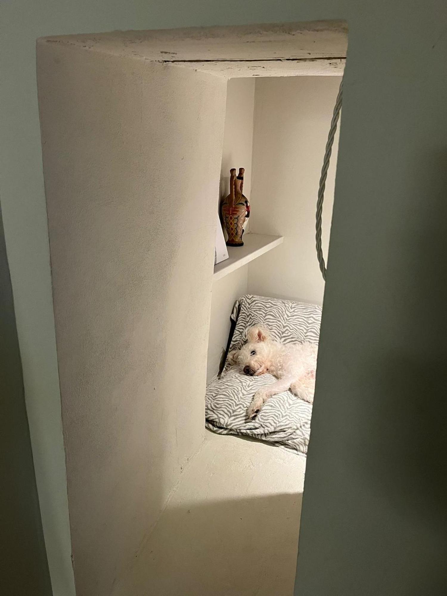 M.Sommer House Pistoia Kültér fotó